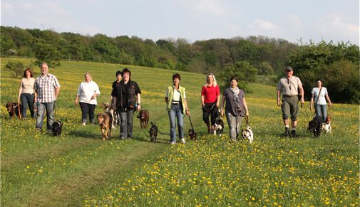 arbeit-am-hund_03