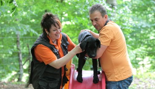 arbeit-am-hund_04