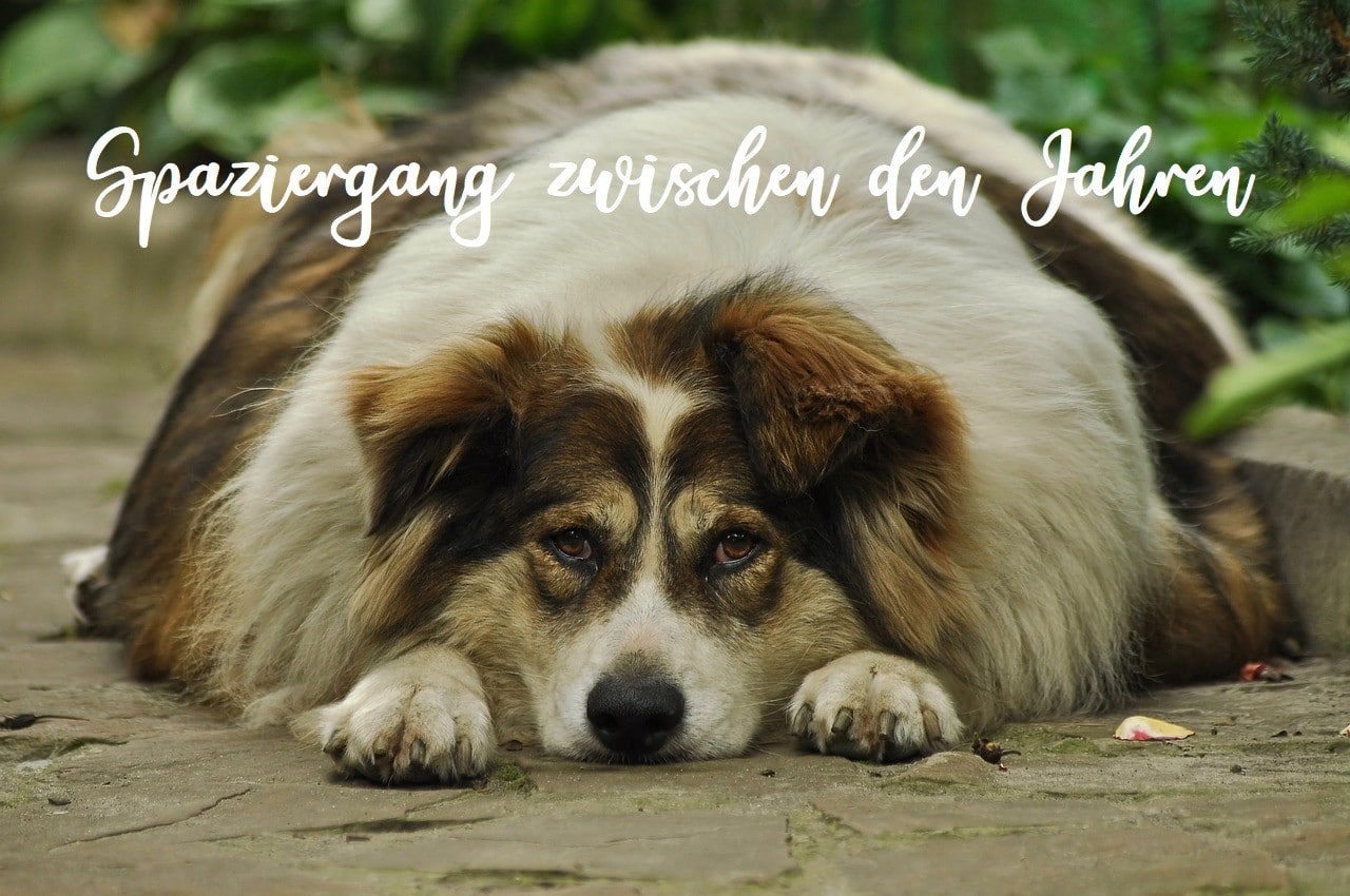 Spaziergang, Abschluss, kostenlos